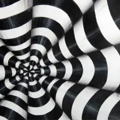 A black and white optical illusions art piece featuring a swirling vortex of curved stripes that create a sense of depth and movement.