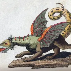 A fantastical creature breathes fire in this historical medieval dragon art. Its wings are adorned with numerous eyes, and its spotted tail curls dramatically.