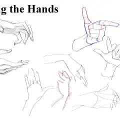Sketches of hands in various poses, with some anatomical guides in red and blue, illustrating why are hands so hard to draw.