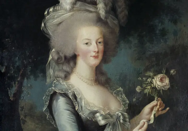 A regal Marie Antoinette, in a stunning blue gown and elaborate hairstyle, holds a bouquet of roses. This iconic portrait captures the essence of the queen, hinting at a grander Marie Antoinette family portrait.