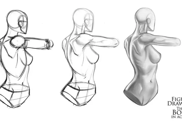 Three stages of figure drawing, from sketch to shaded study, showcasing the anatomy in art of the human form in motion.