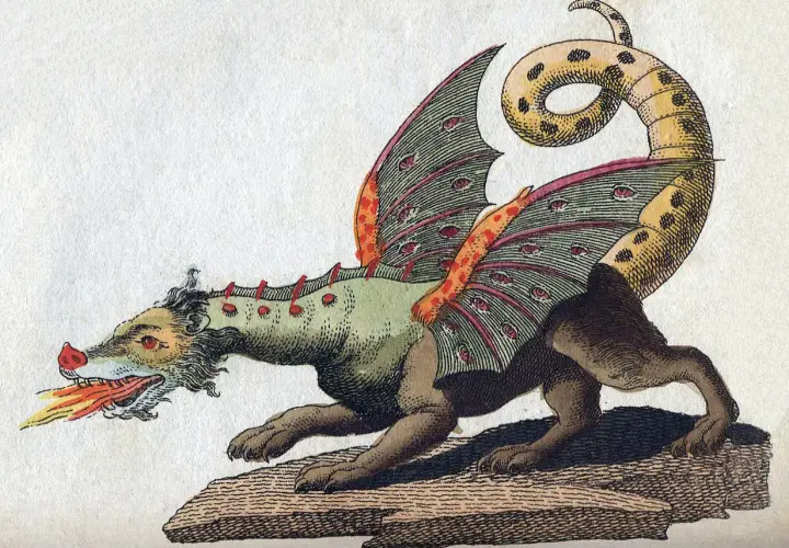A fantastical creature breathes fire in this historical medieval dragon art. Its wings are adorned with numerous eyes, and its spotted tail curls dramatically.