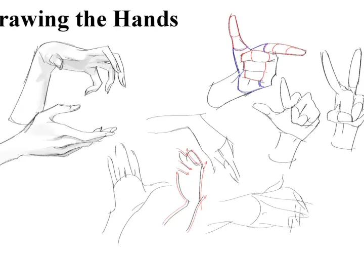 Sketches of hands in various poses, with some anatomical guides in red and blue, illustrating why are hands so hard to draw.