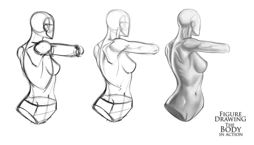 Three stages of figure drawing, from sketch to shaded study, showcasing the anatomy in art of the human form in motion.
