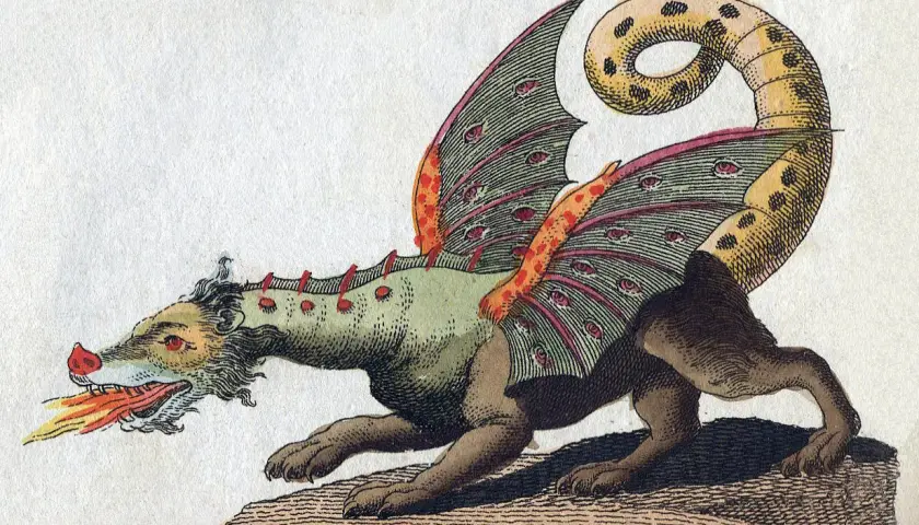 A fantastical creature breathes fire in this historical medieval dragon art. Its wings are adorned with numerous eyes, and its spotted tail curls dramatically.