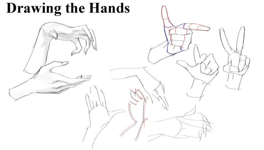 Sketches of hands in various poses, with some anatomical guides in red and blue, illustrating why are hands so hard to draw.
