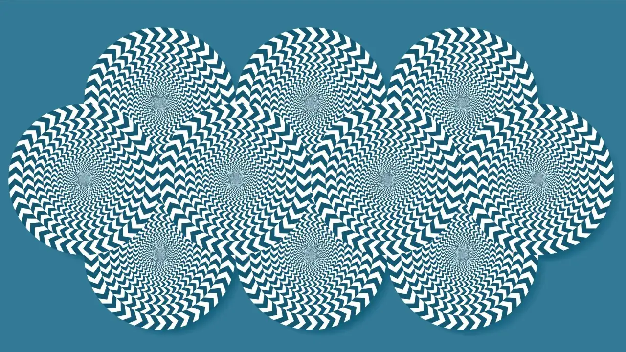 A mesmerizing display of optical illusions art, featuring overlapping circles filled with spiraling chevron patterns that create a sense of movement.